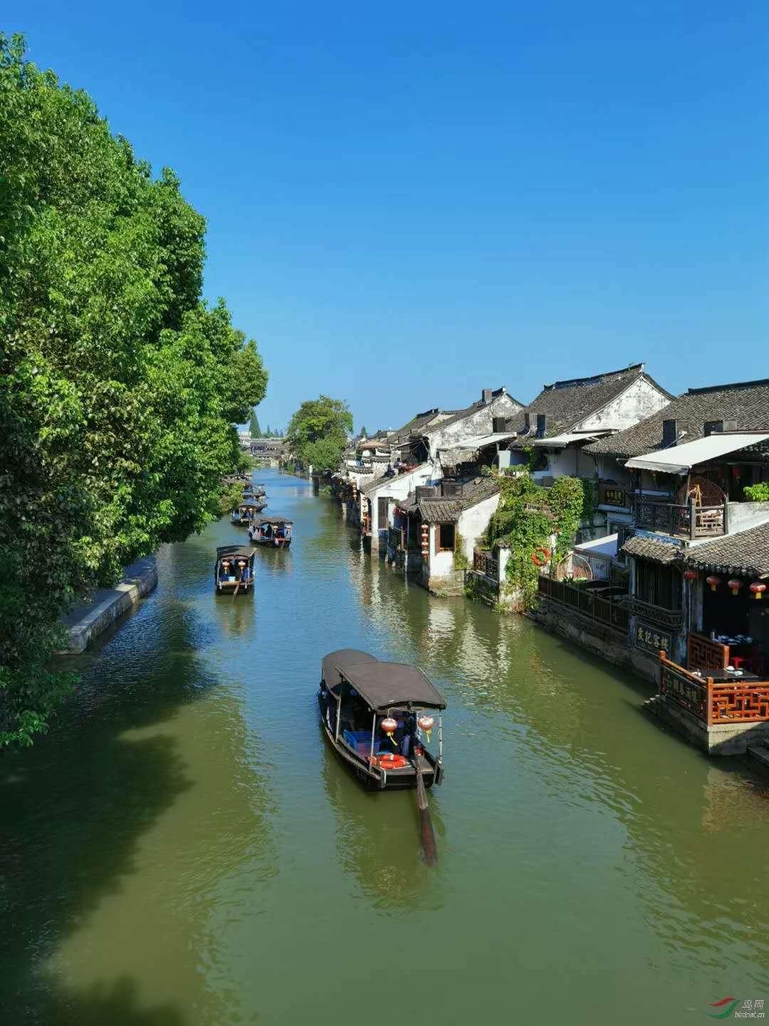 不建议2岁以下儿童看各种屏幕，长期看电子屏幕对儿童有何伤害？